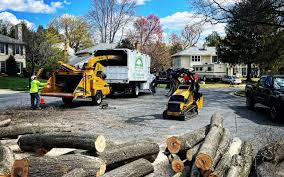 Best Leaf Removal  in Columbus Grove, OH